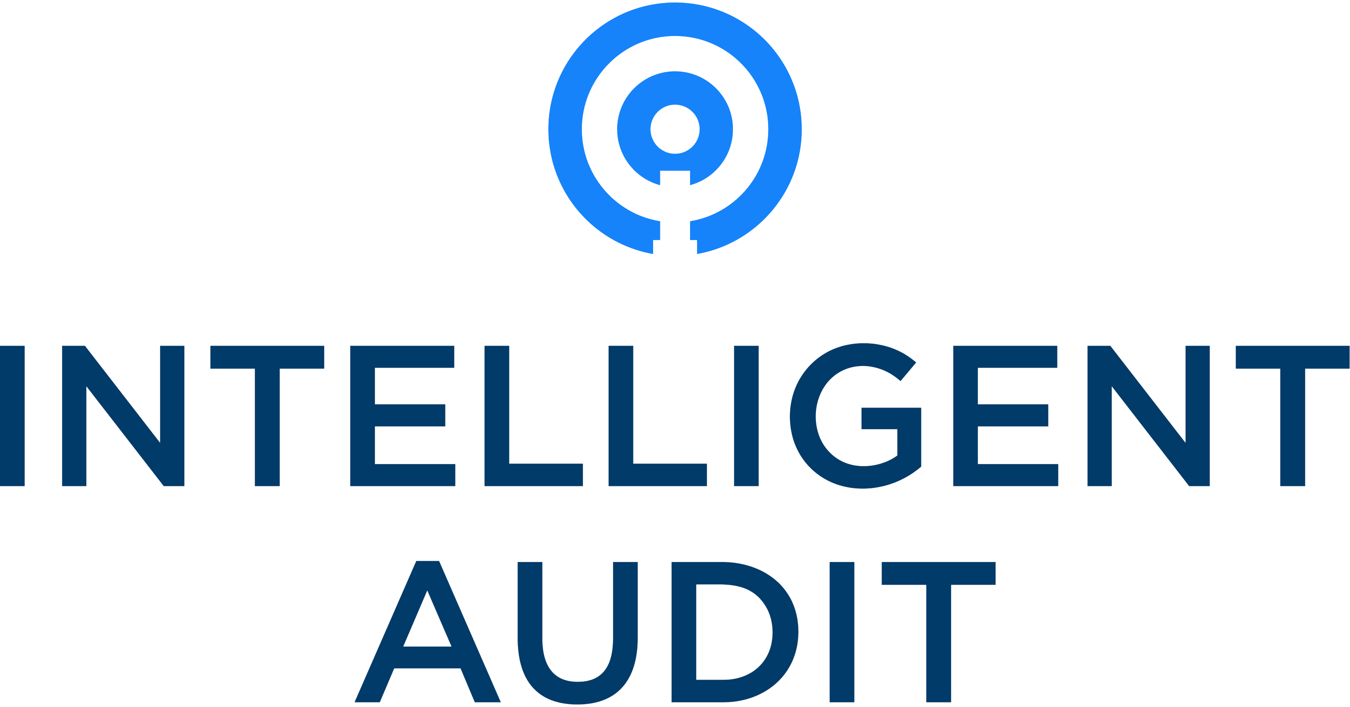 Intelligent Audit